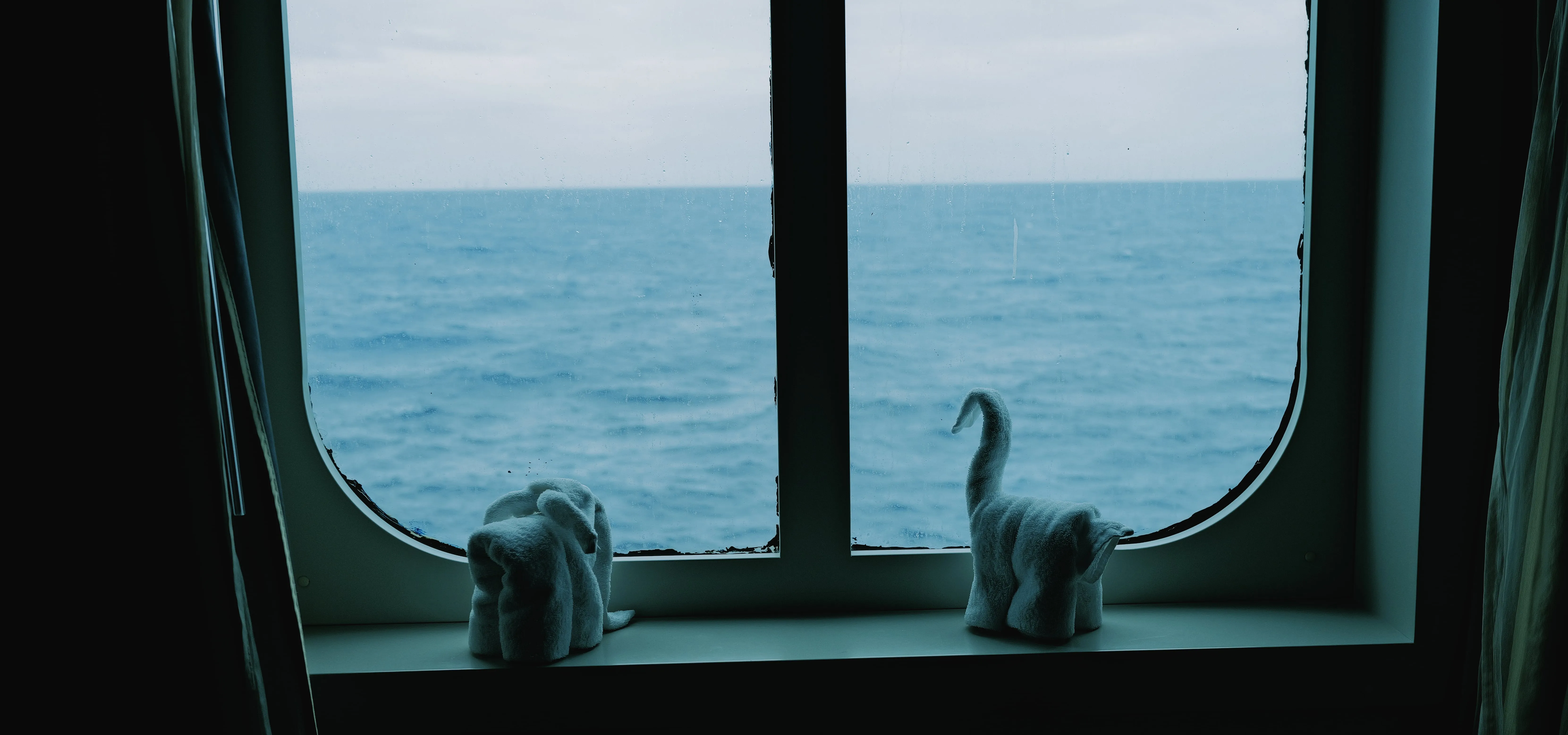 Towel Animals