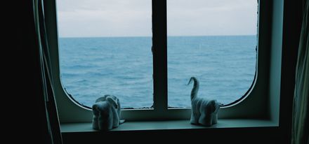 Towel Animals