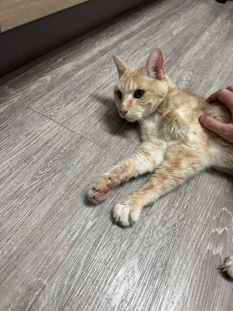 Peaches with the nurses