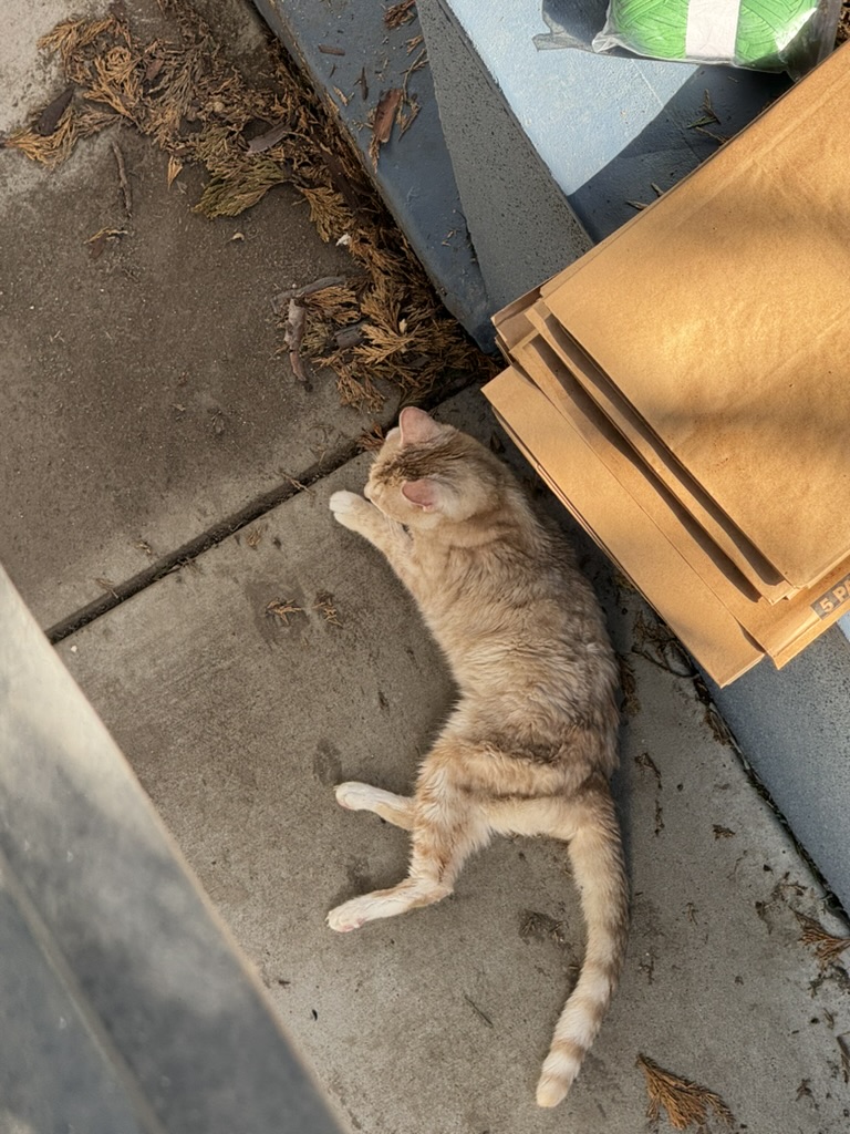 Peaches chilling out